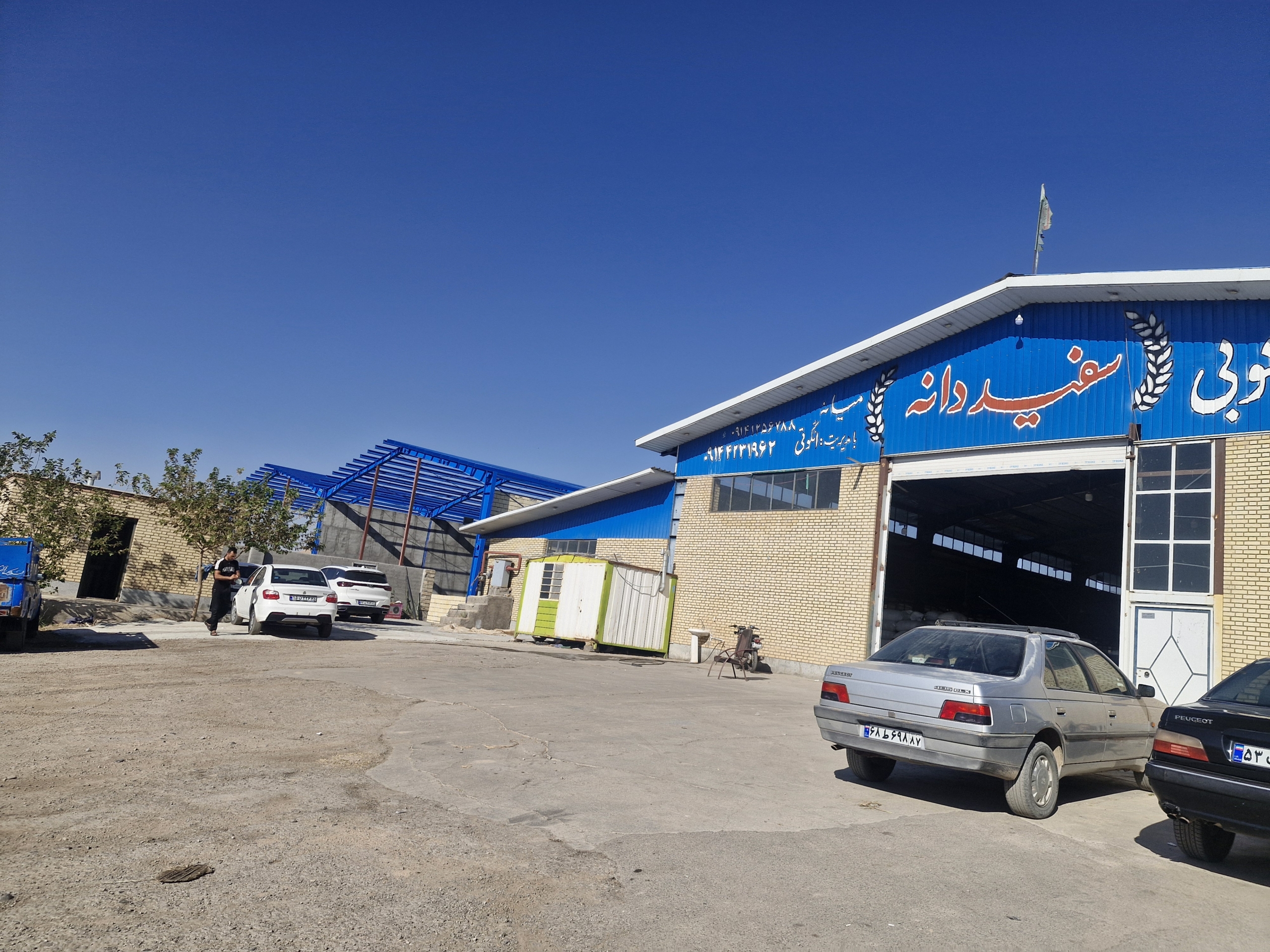 تخصص و تجربه