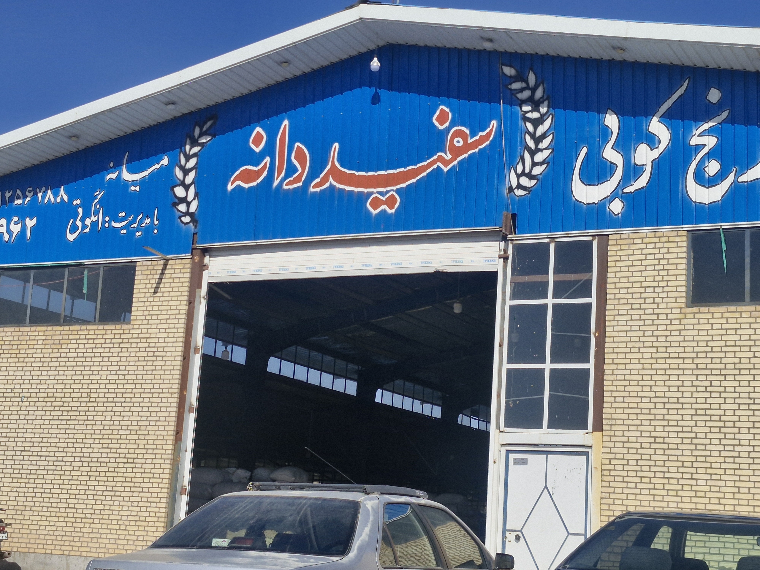 تخصص و تجربه