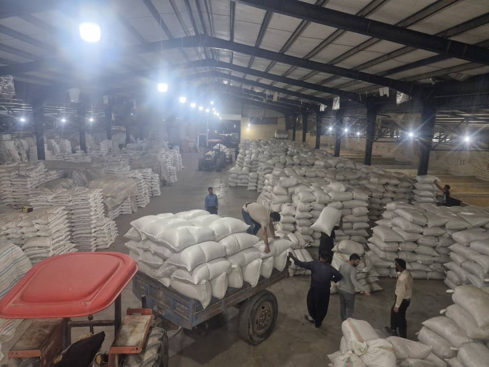 کیسه‌گیری و بسته‌بندی