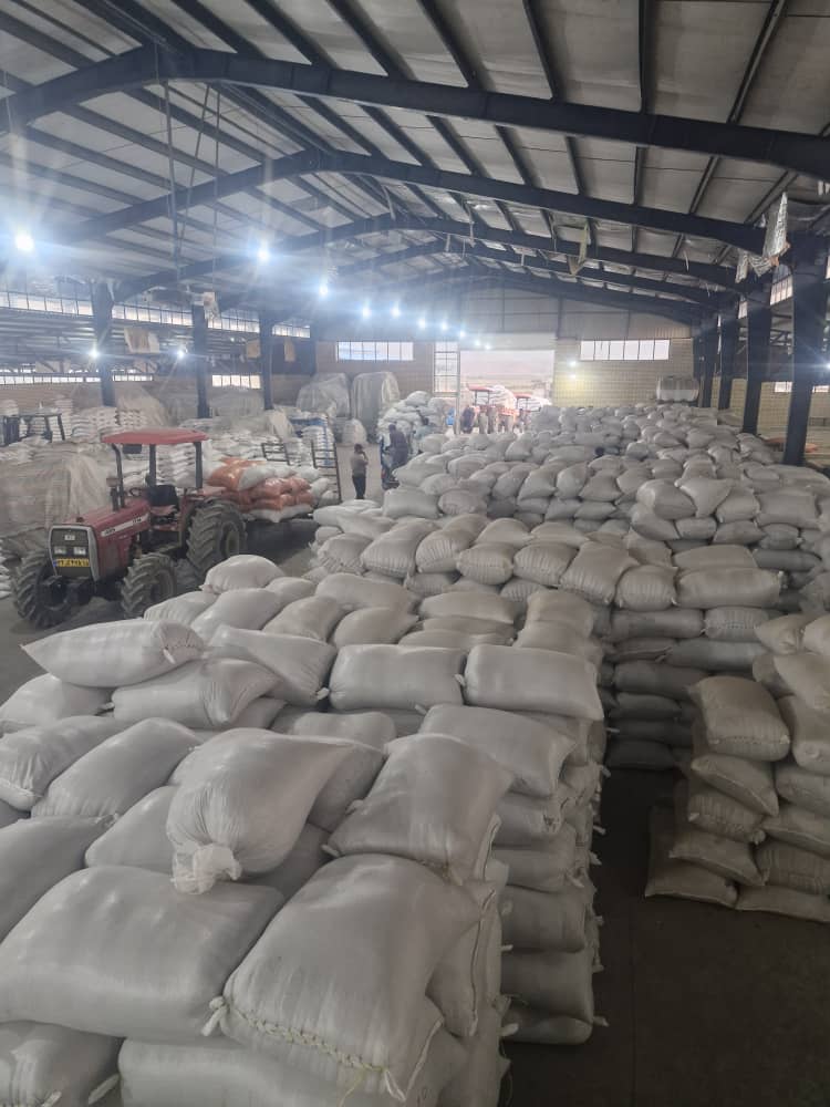 درجه‌بندی و سورتینگ